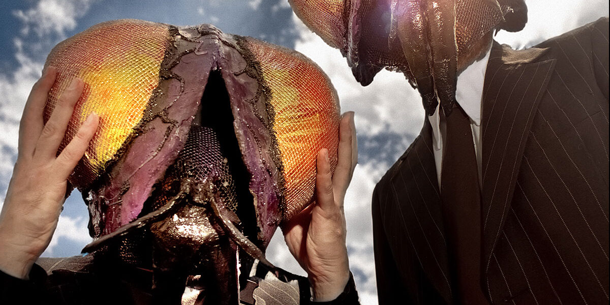 ankuendigungsgrafik-im